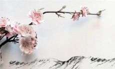 2023年生肖龙女运势如何 时运不济等待时机