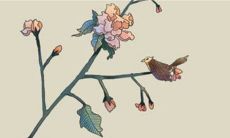 2023年适合哪些生肖结婚 月老牵绳不要犹豫