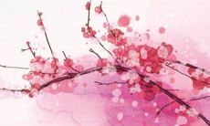 2023本命年有什么讲究和禁忌 本命年兔年要注意什么