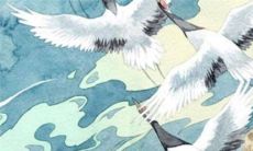 2023年属马犯太岁吗 贵人运旺也谨慎