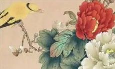 2023年不顺的生肖 调节心态发愤图强