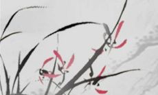 2023年哪些生肖不合适生孩子 诸事不顺不要心急