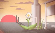 2016年属龙的幸运色