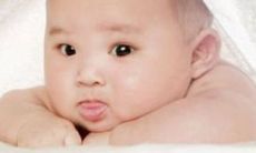 带草字头的兔宝宝取名字大全 超凡脱俗新生儿起名