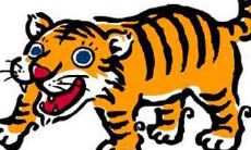 今年2021年属虎的运势怎么样 财富运势好吗