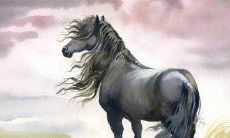 1990年属马人2022适宜生宝宝吗,可以要虎宝宝吗