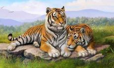 2022年属虎的命太苦了吗 如何才能改命