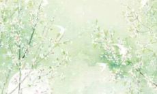 男方入赘族谱称呼 称为自己的儿子