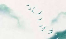 招赘与纳婿的区别 招赘纳婿是什么意思