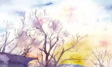 入赘女方一般出什么条件 家庭经济状况不错