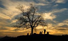 2022年吉利生肖 什么生肖运势最好