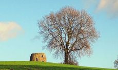 2022年属虎百年难遇 百年难遇的虎命运如何