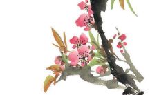 现代入赘的婚礼流程 与正常婚嫁一样