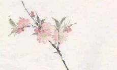 古时候的入赘后的规矩 新人进行交拜礼