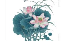 入赘女方接亲流程 双方协商准备婚宴