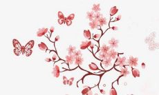 上门女婿改姓流程 按照当地流程