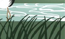 智慧线和感情线相交的预兆