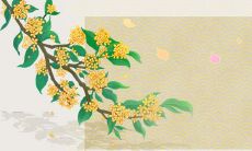 98年属虎24岁桃花劫 劫难化解方法