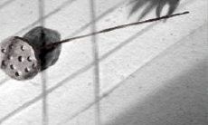 测什么人时刻想暗算你？