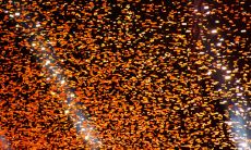 福报来之前的10种征兆