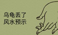 乌龟丢了预示什么风水预兆