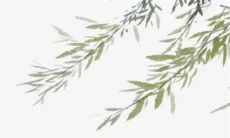 2023年公历5月中出行黄道吉日日子 2023年5月出行最吉利的日子