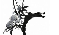 2023年5月最适合远行的是哪几天 5月出行黄道吉日