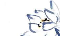 2023兔年5月出行最好的日子 5月哪天适合出行