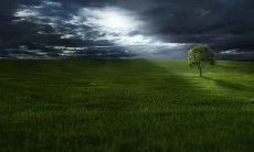 属虎人的都是哪一年出生的 这几年出生的人属虎