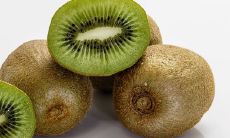 家中栽猕猴桃是凶树吗 可以旺财镇宅吗