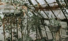 在自己楼顶上栽树风水好不好 能招财出贵人吗