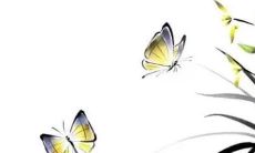 2023年农历二月十一出行好吗 2023年农历二月十一日子好不好