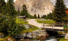 干松塔可以放家里吗 风水好不好