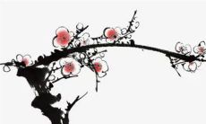 2023兔年5月份出远门的好日子查询 5月最佳出行时间