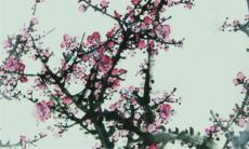 2022年农历腊月初十开工好不好 开工祝福语大全