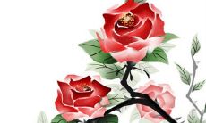 新郎新娘敬酒服搭配 要选什么颜色