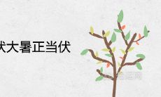 小暑不全伏大暑正当伏是什么意思 2021年三伏天的时间