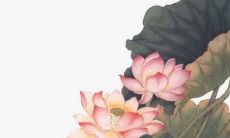 订婚的流程及注意事项 确定吉日注意服装