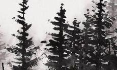 结婚伞可以用别人的用吗 接新娘伞怎么接