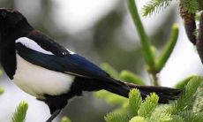 换大运多久步入正轨 交运后多长时间运气会有变化