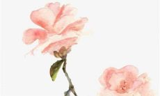 结婚内衣可以提前洗吗 看新人自己想法