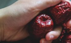 枣树有灵性吗 可以在家里种植吗