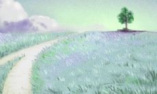 测试你的财运是越来越旺还是急转直下