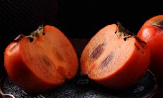 庭院里种柿子树的风水寓意好吗 能旺财镇宅吗