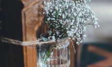 尤加利的风水作用可以旺财旺宅吗