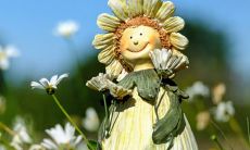 养花越养越好是不运气旺