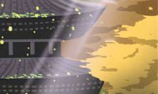 手相揭示你看人的眼光准不准