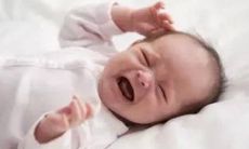 2023年1月15日的兔宝宝名字 免费根据生辰八字取名