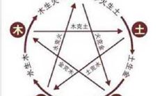 属虎人2022年正月打牌打麻将手气财运好不好