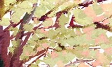 手相看命运，从手相看你聪明度有多高？